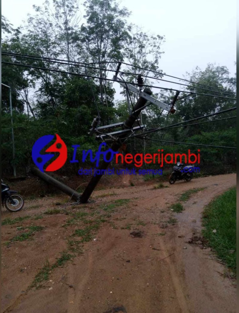 Pohon Dan Tiang PLN Di Unit 15 Roboh Di Terjang Hujan Dan angin.dok PLN