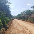 Ruas jalan yang membelah dua desa di dua kabupaten Sarolangun -merangin,mulai di perbaiki.(Istimewa)