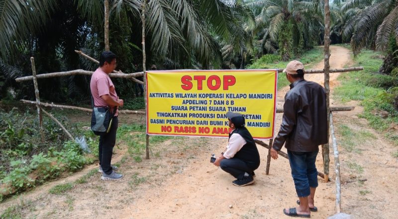 Sejumlah petani yang tergabung dalam Koperasi Kelapo Mandiri memagar akses jalan menuju kebun sebagai bentuk protes terhadap PT Adimulia Palmo Lestari. Terlihat spanduk berisi tuntutan dipasang di lokasi aksi, Jumat 11/7/2025. (INJ/Andrey)