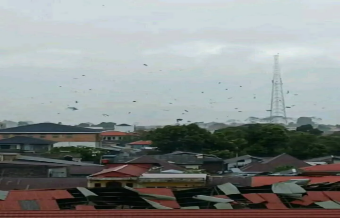 Tangkapan gambar saat angin puting beliung melanda kawasan Pasar Kersik Tuo, Kecamatan Kayu Aro, Kabupaten Kerinci, Jambi, Sabtu (2/8/2025). Terlihat material atap dan puing bangunan beterbangan di udara, serta sejumlah atap rumah warga rusak parah akibat terjangan angin kencang yang datang secara tiba-tiba.(INJ/Ist)