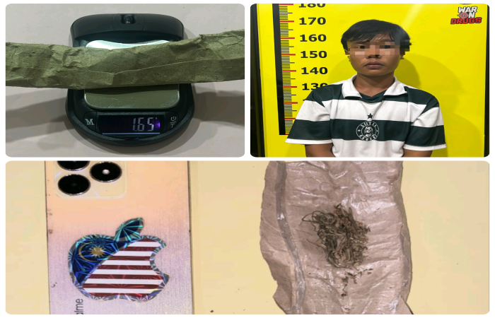 Barang bukti narkotika jenis ganja seberat 1,65 gram bruto yang diamankan Satresnarkoba Polres Kerinci (atas kiri), tersangka berinisial A.P. saat diamankan (atas kanan), handphone milik tersangka yang digunakan untuk transaksi (bawah kiri), serta ganja kering yang dibungkus kertas (bawah kanan).